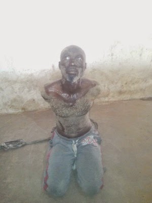 boko haram food supplier arrested