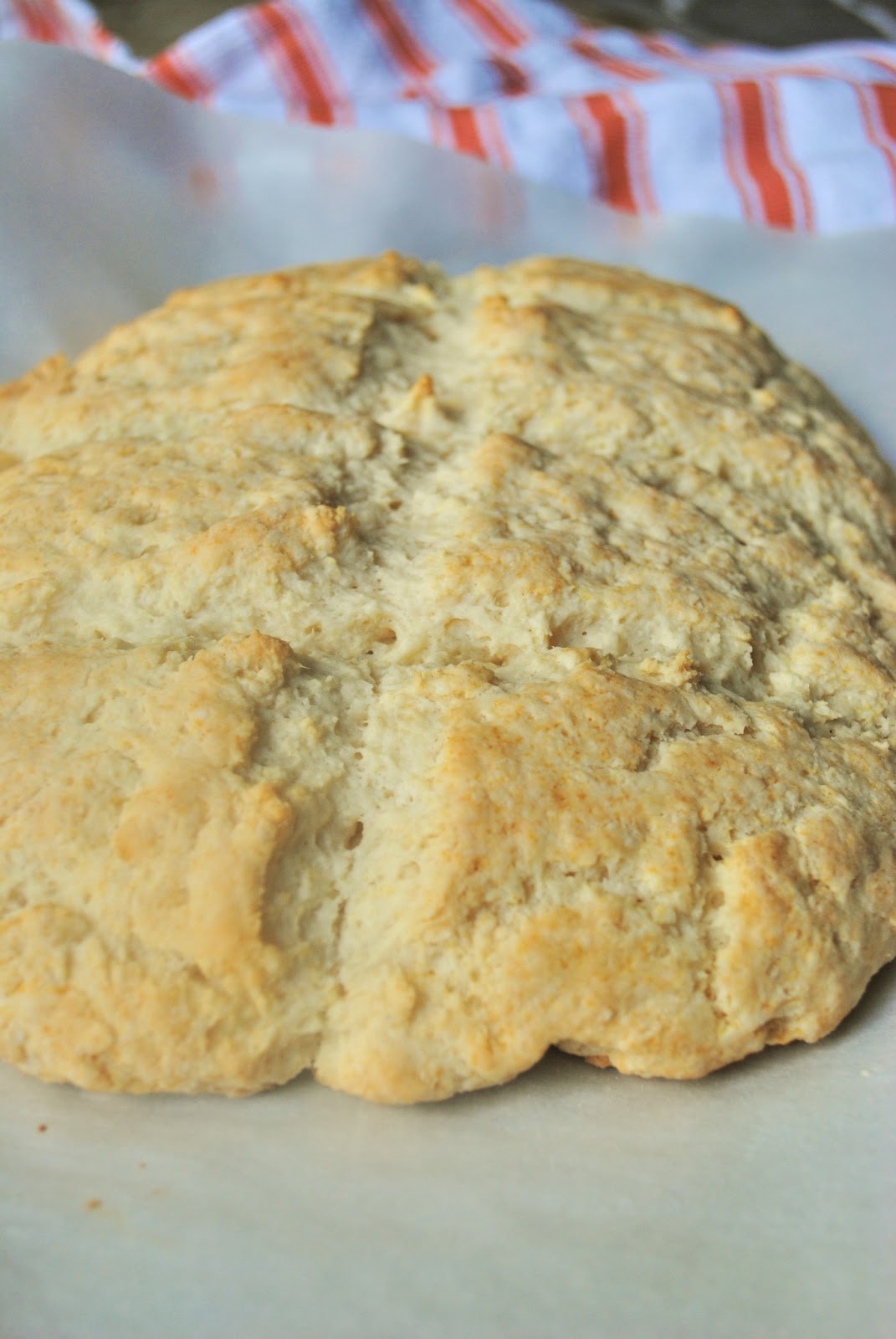 Le Cordon Q Honey Greek Yogurt Biscuits