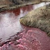 Un arroyo canadiense se vuelve rojo sangre en imágenes espeluznantes sacadas de una película de terror