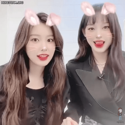 강혜원 . 노제