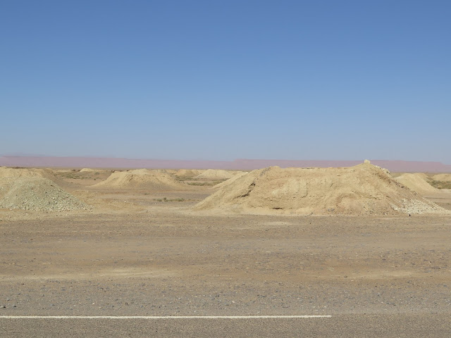 Retamas del desierto del Sáhara