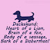 Τι είναι το Dachshund;
