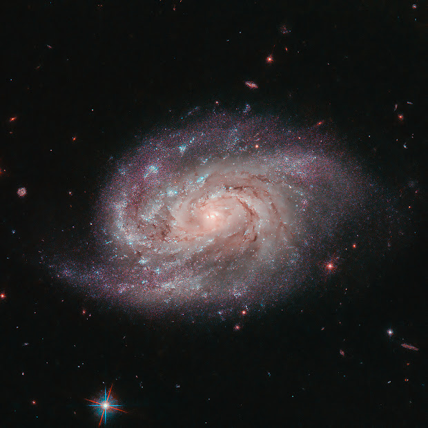 Spiral Galaxy NGC 1803
