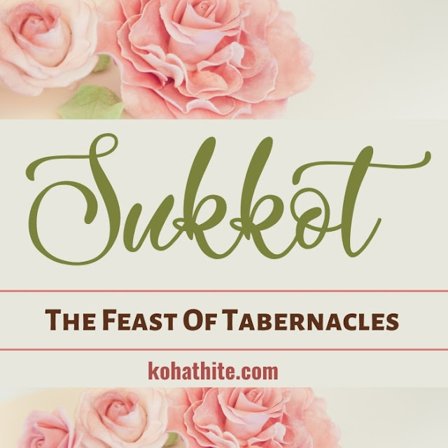 Sukkot | The Feast Of Tabernacles | Festival of Ingathering | Your Questions Answered