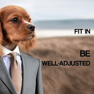 Fit In.  Be well adjusted.