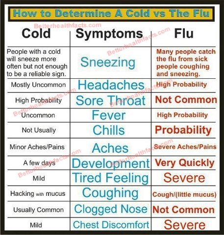 Cold Or Flu Symptoms Chart