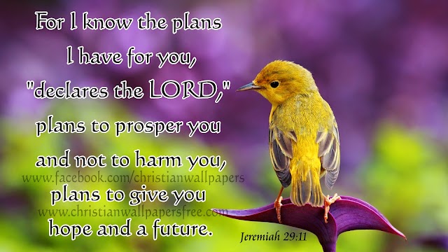 Bible verses backgrounds & pictures Download HD Christmas & New Year 2020 Bible Verse Greetings Card