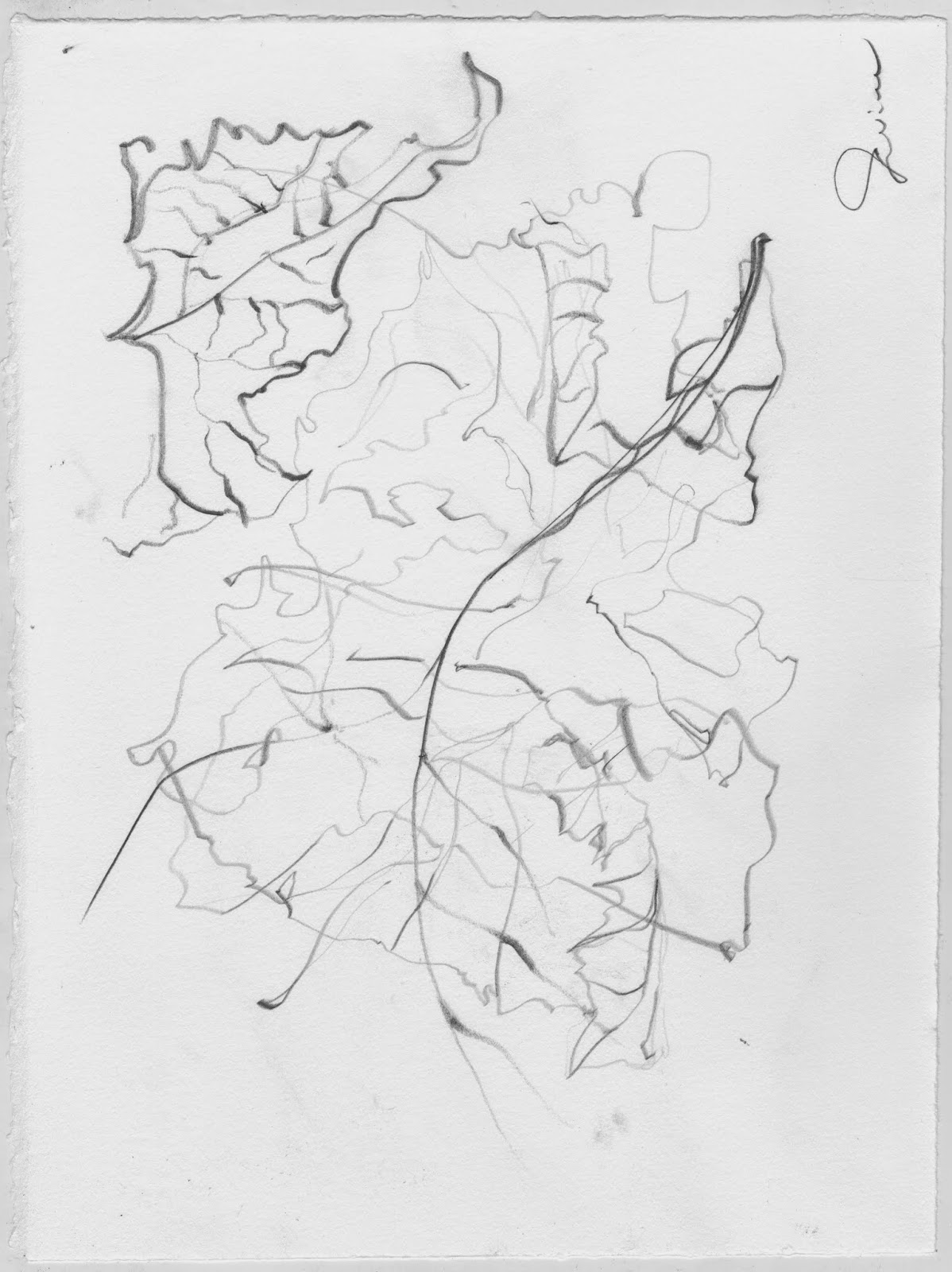 Introduction to the Studio: Swiee, Leaf Conture Drawing