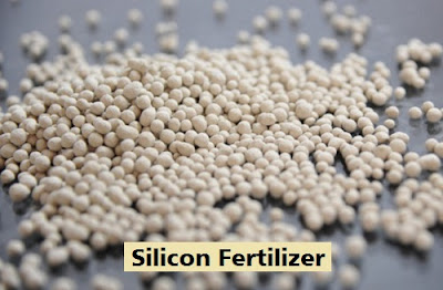 Silicon Fertilizer Market