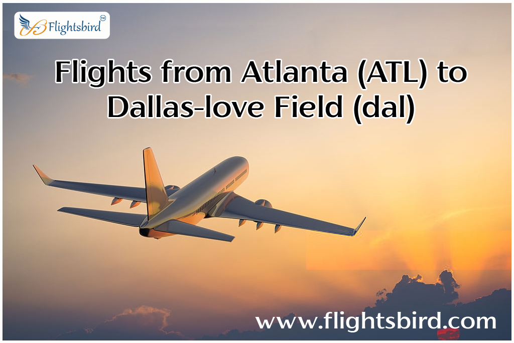 How to Avoid Common Mistakes While Booking a Flight Online?