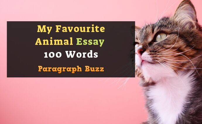 animal language essay