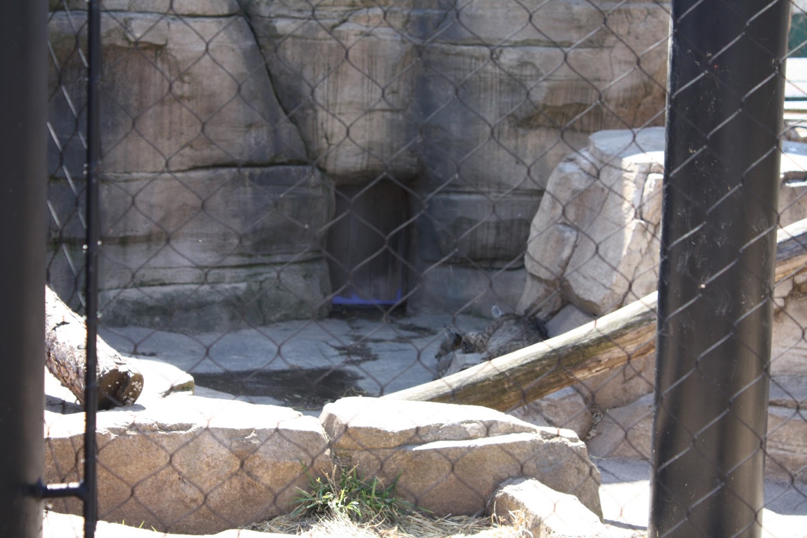 A Little Time and a Keyboard Cosley Zoo in Wheaton, IL