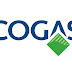 Cogas legt glasvezel aan op 't Lochter in Nijverdal