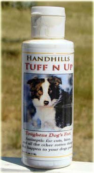 Summer is almost here! Have you ordered your Tuff N Up to save your dog's pads?