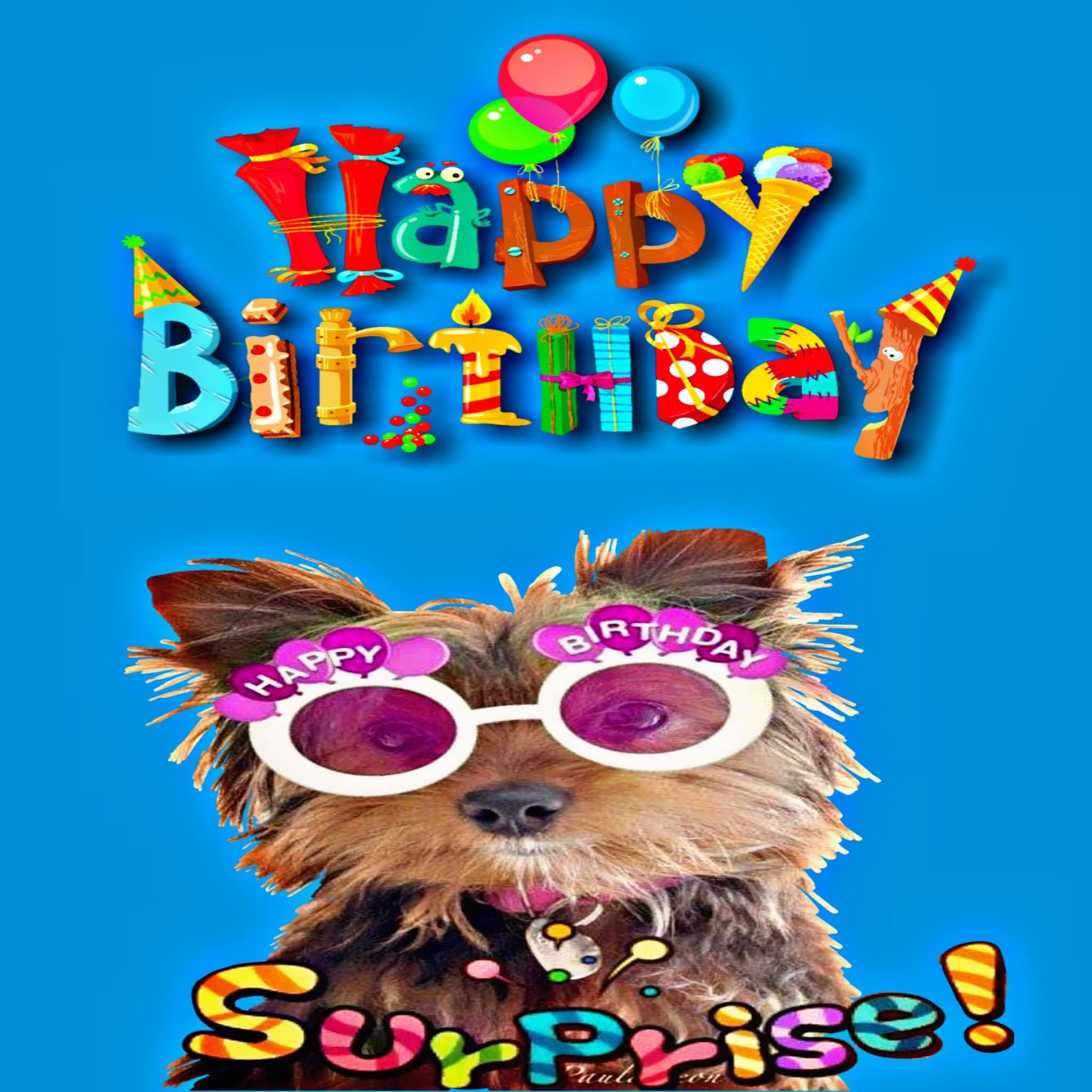 happy birthday funny imagesfunny happy birthday images