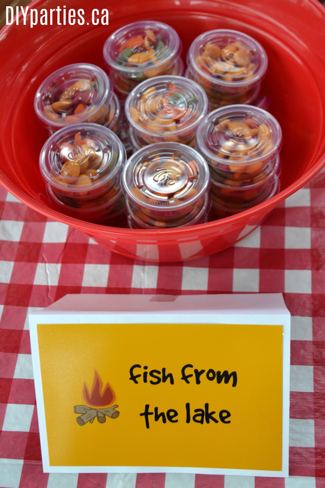 DIY Parties Camping Party Food Ideas