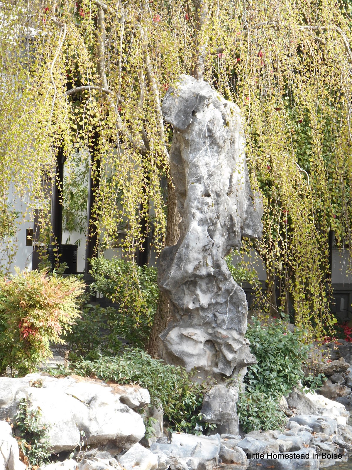 Little Homestead In Boise : Road Trip- Chinese Gardens, Ikea, A
