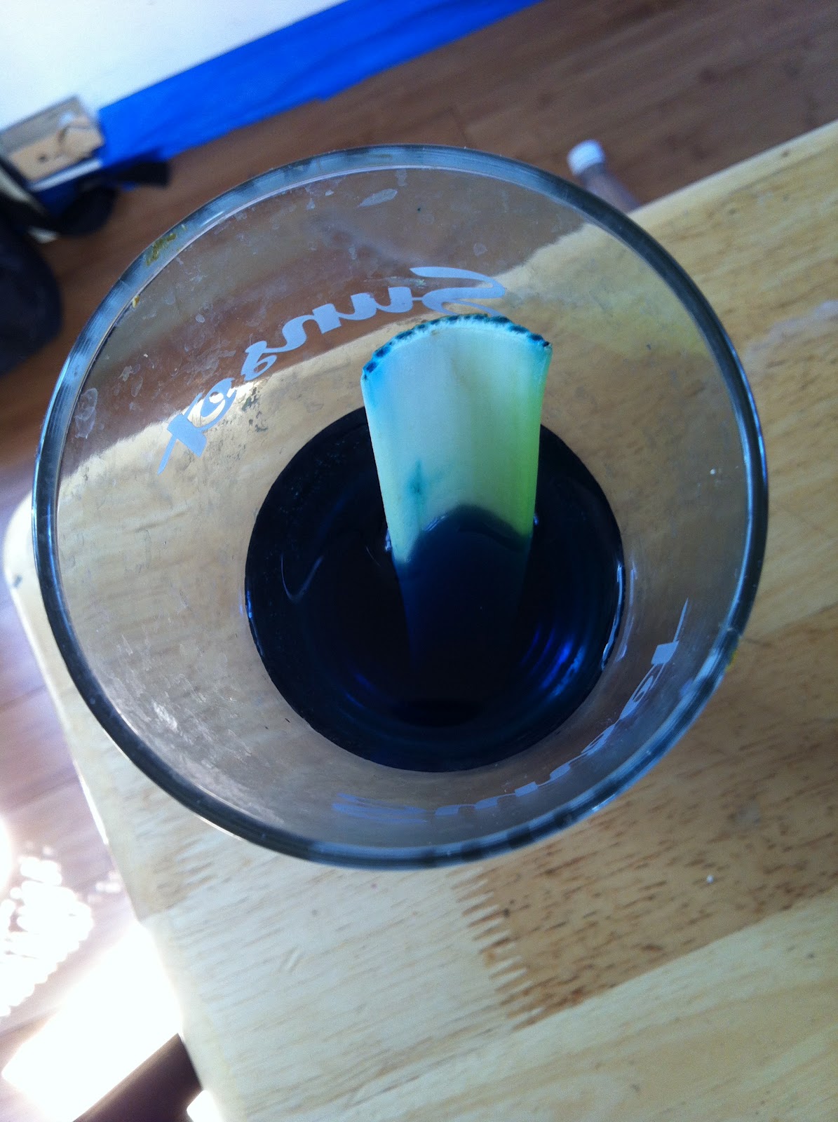 TatylandMontessori Celery Experiment