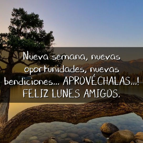 Buen Dia Que Tengan Un Excelente Lunes El Mensajero No