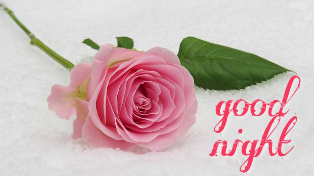 lovely good night images lovely good night images