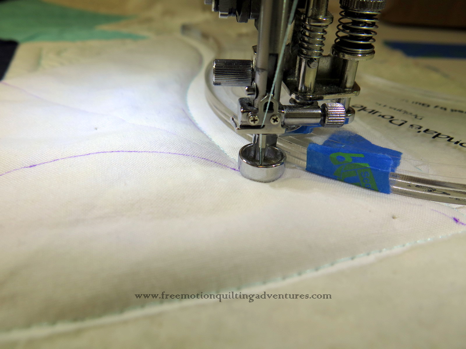 Amy's Free Motion Quilting Adventures Quilting with Rulers Double