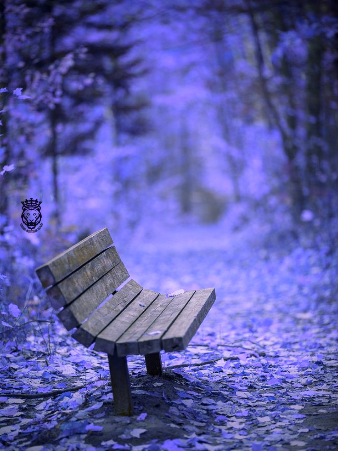 500+ Blue Background HD for Editing Moody Blue Photo Editing