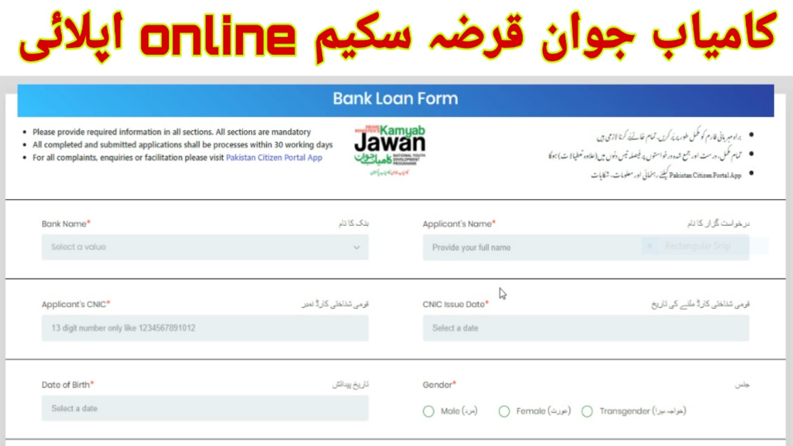 Kamyab Jawan Bank Loan Form Apply For Kamyab Jawan Program
