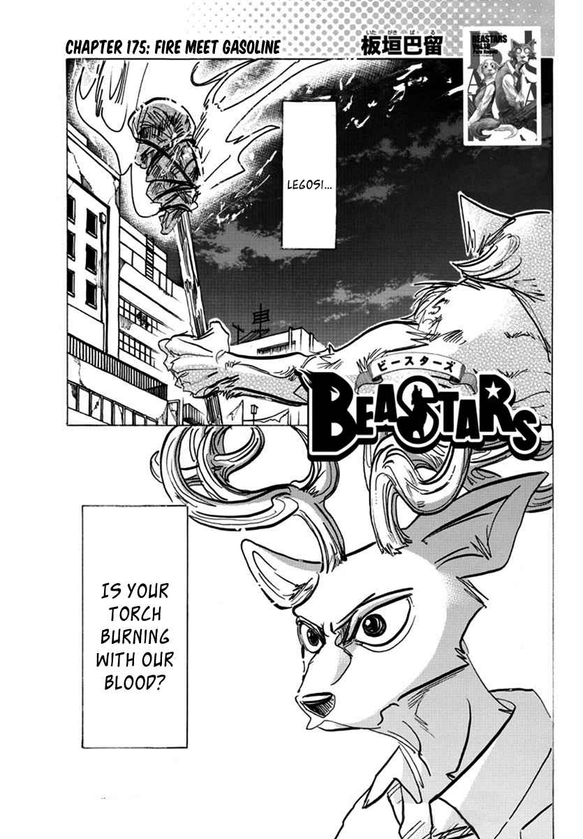 Beastars Chapter 175 Beastars Manga Online