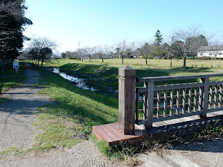 青淵公園