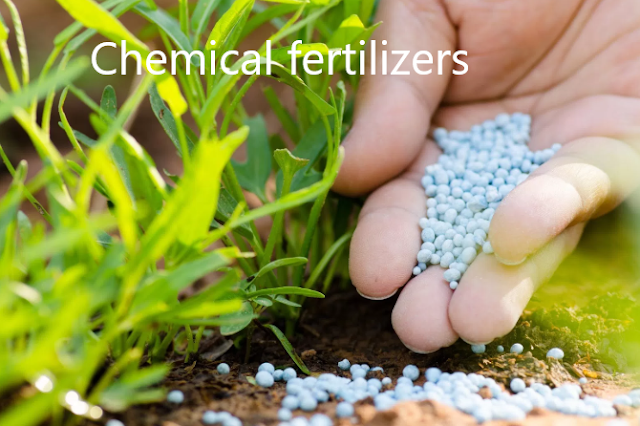 commonly used chemical fertilizers