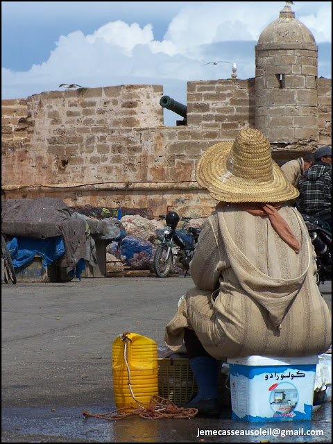 Vendeuse de poisson à Essaouira