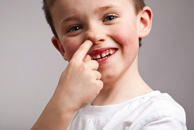 Mengapa Orang Menahan Diri Tidak Mengupil dan Mengorek Kuping Selama Berpuasa?  Mengapa Orang Menahan Diri Tidak Mengupil dan Mengorek Kuping Selama Berpuasa?