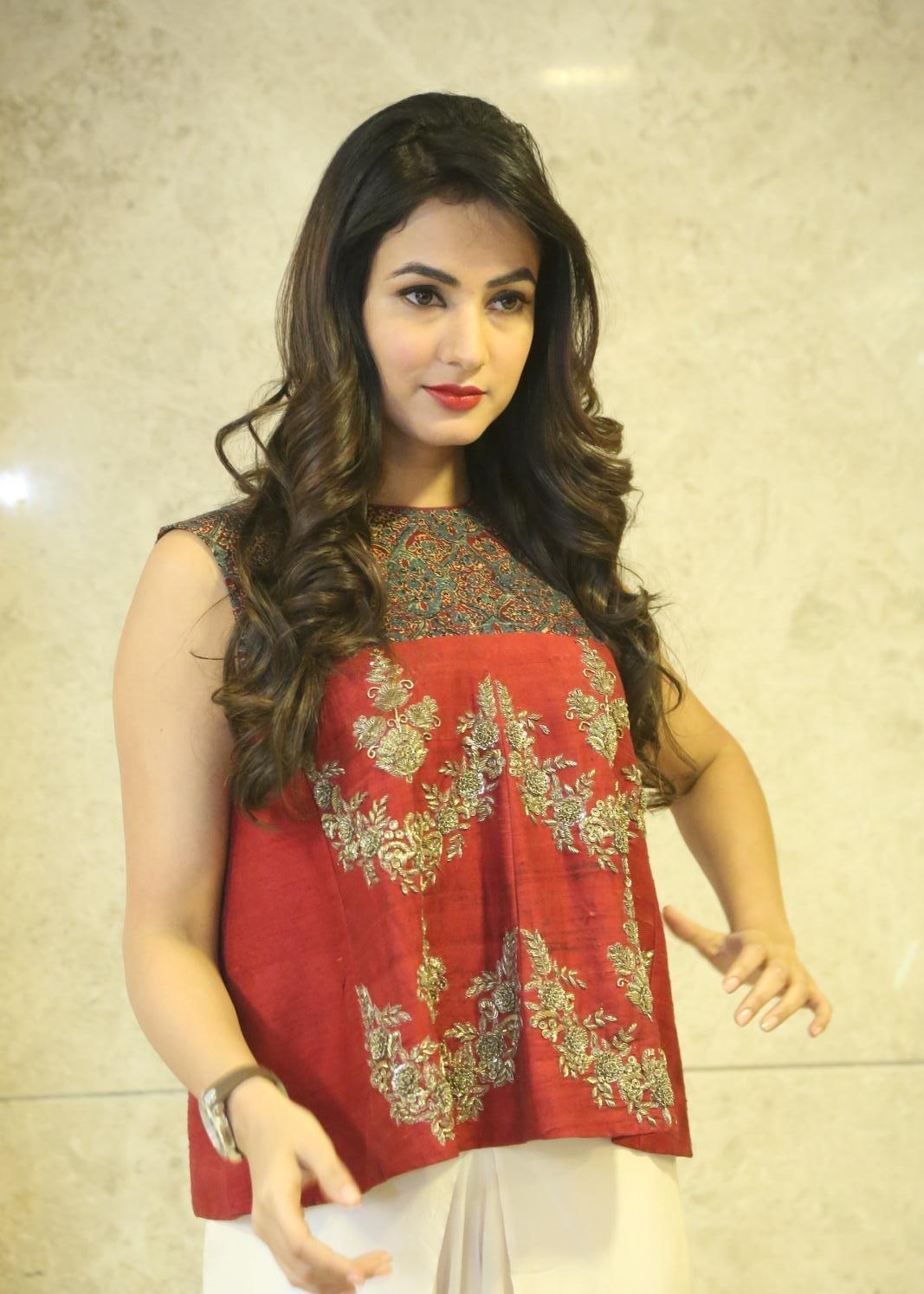 Sonal Chauhan Looks Gorgeous At Telugu Film â€œDictatorâ€ Success Meet In Hyderabad