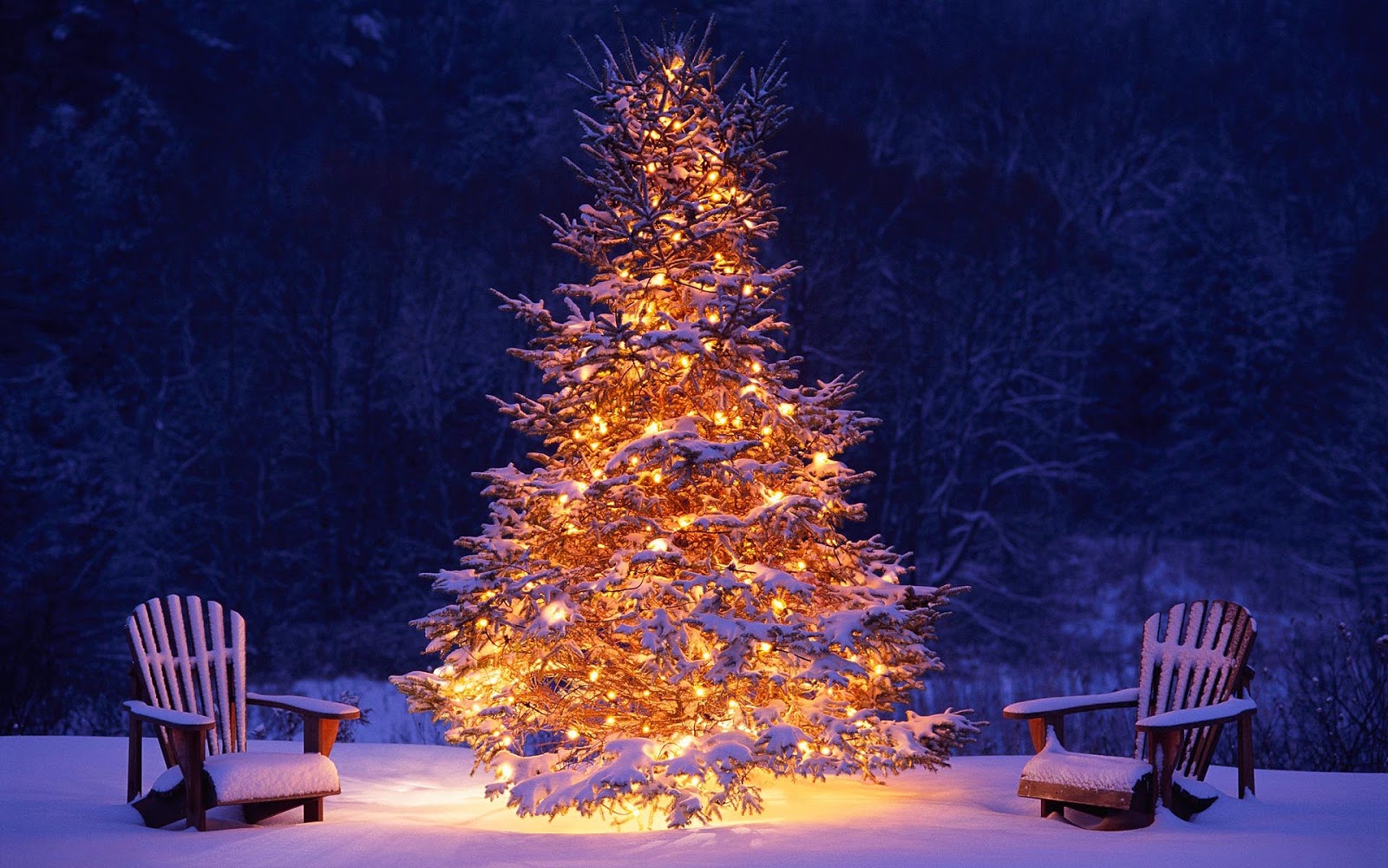 http://1.bp.blogspot.com/-bLg8W80c7oI/UImvpAouduI/AAAAAAAAH7c/ntxLoohacJg/s1600/mooie-brandende-kerstboom-buiten-in-de-sneeuw-hd-kerst-wallpaper.jpg