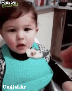 Umjjal_kr_219.gif