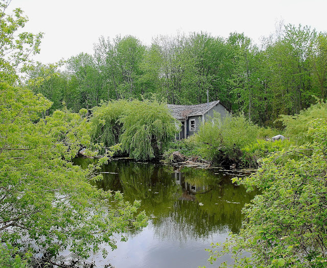 Camera on King & Aurora In the Holland Marsh...