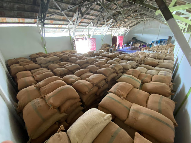 Las condiciones de almacenamiento para el cacao en zonas tropicales suelen ser bastante adversas. Almacén de cacao.