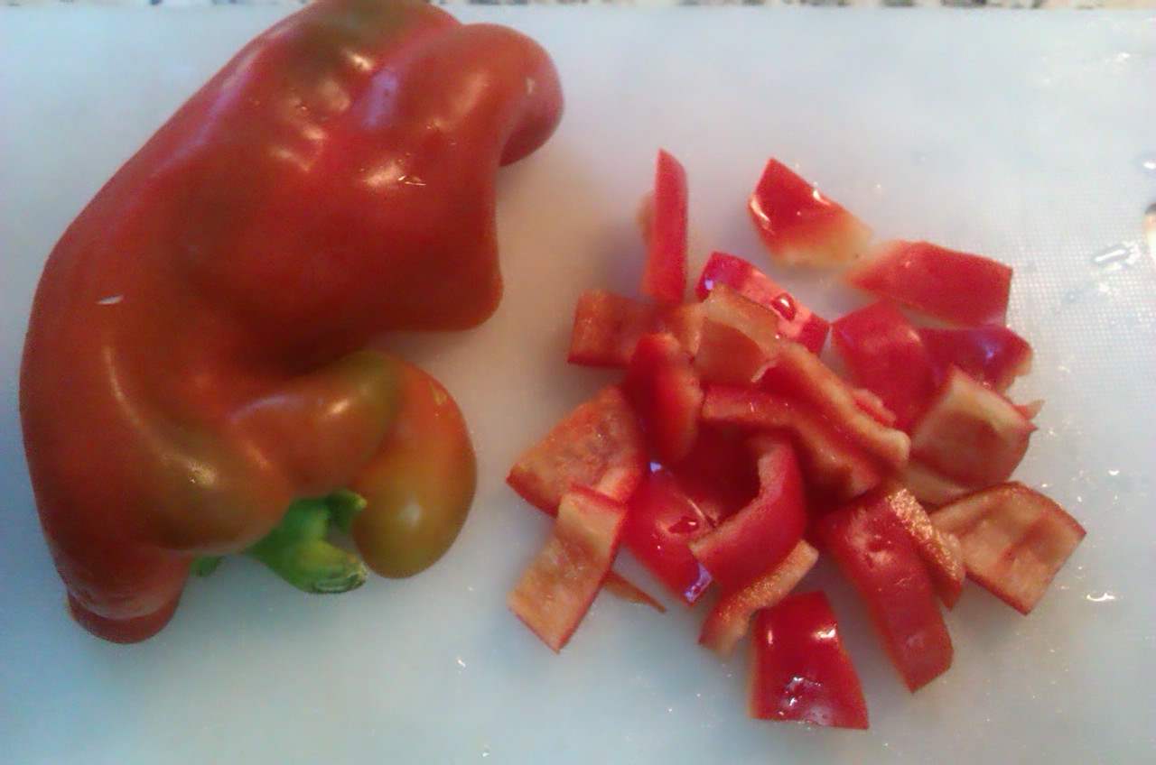 BITACORA GASTRONOMICA DE MIGUEL BONMATI ÑECO: OMELETTE ESTORNINA