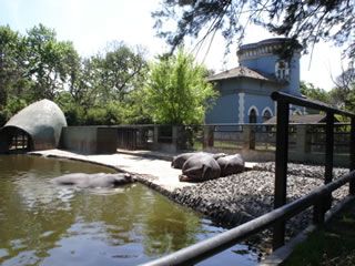 Historia del Zoológico de la Ciudad de Buenos Aires.