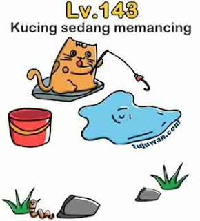 kucing sedang memancing brain out