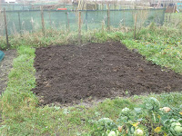 Allotment Growing - November Jobs - Spreading Compost