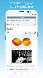 Kiwi Browser - screenshot 5