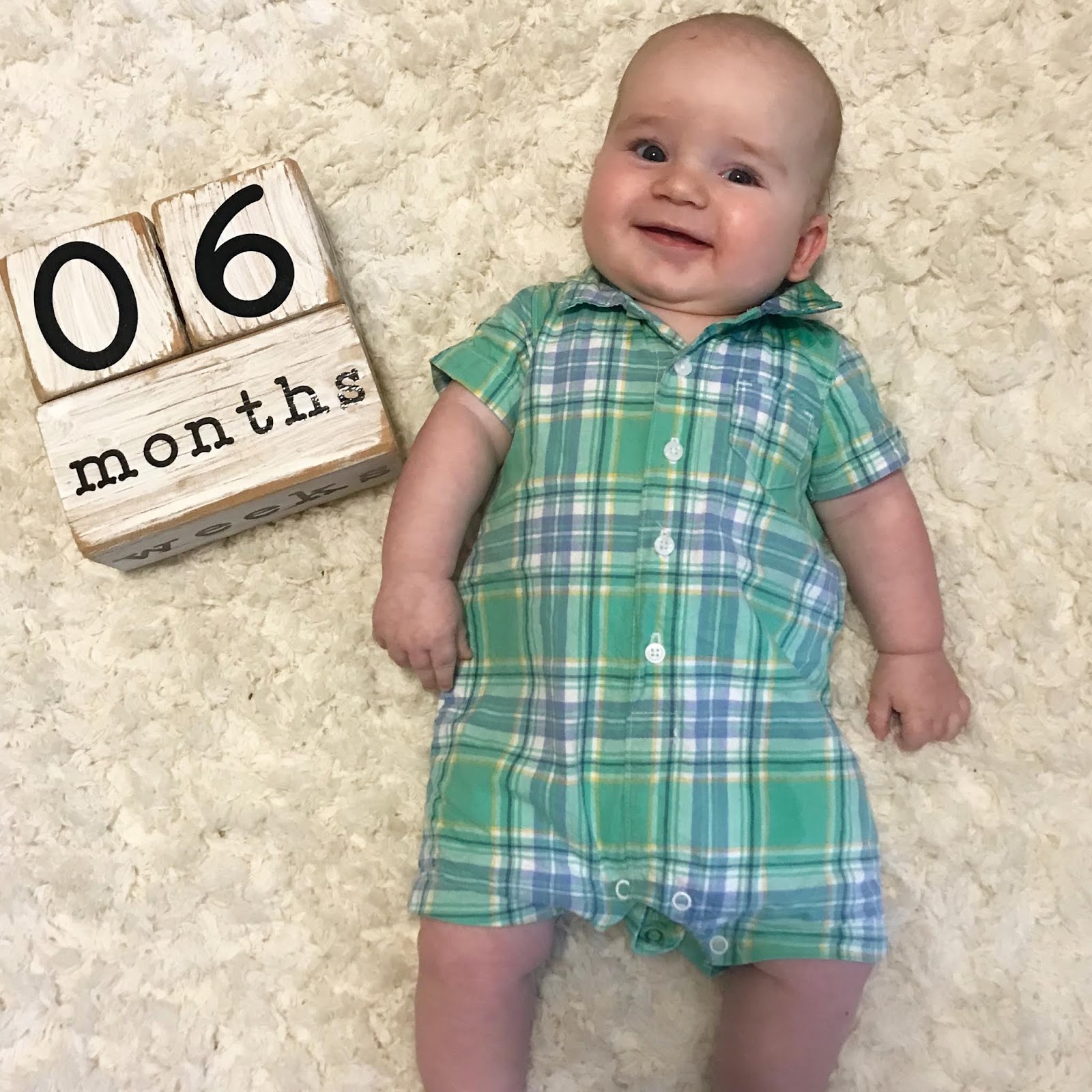 Connor: Six Months - The Blush Magnolia