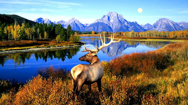 Grand Tenton National Park - Wyoming