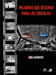 Blog del libro Palabras que Reservo para las Tinieblas.