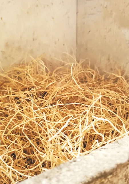 nesting box filled with straw