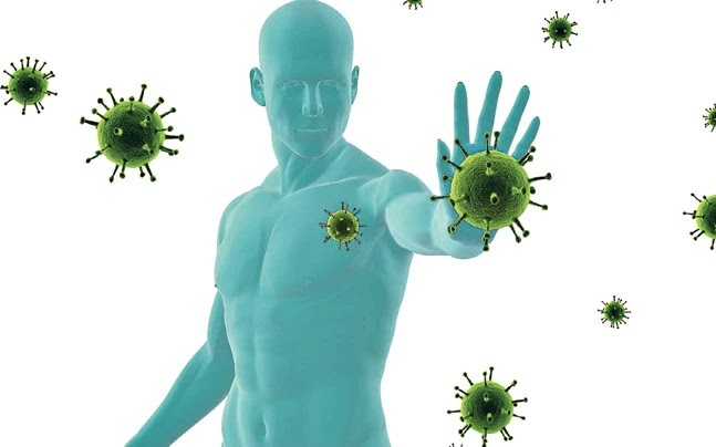 For a strong immune system