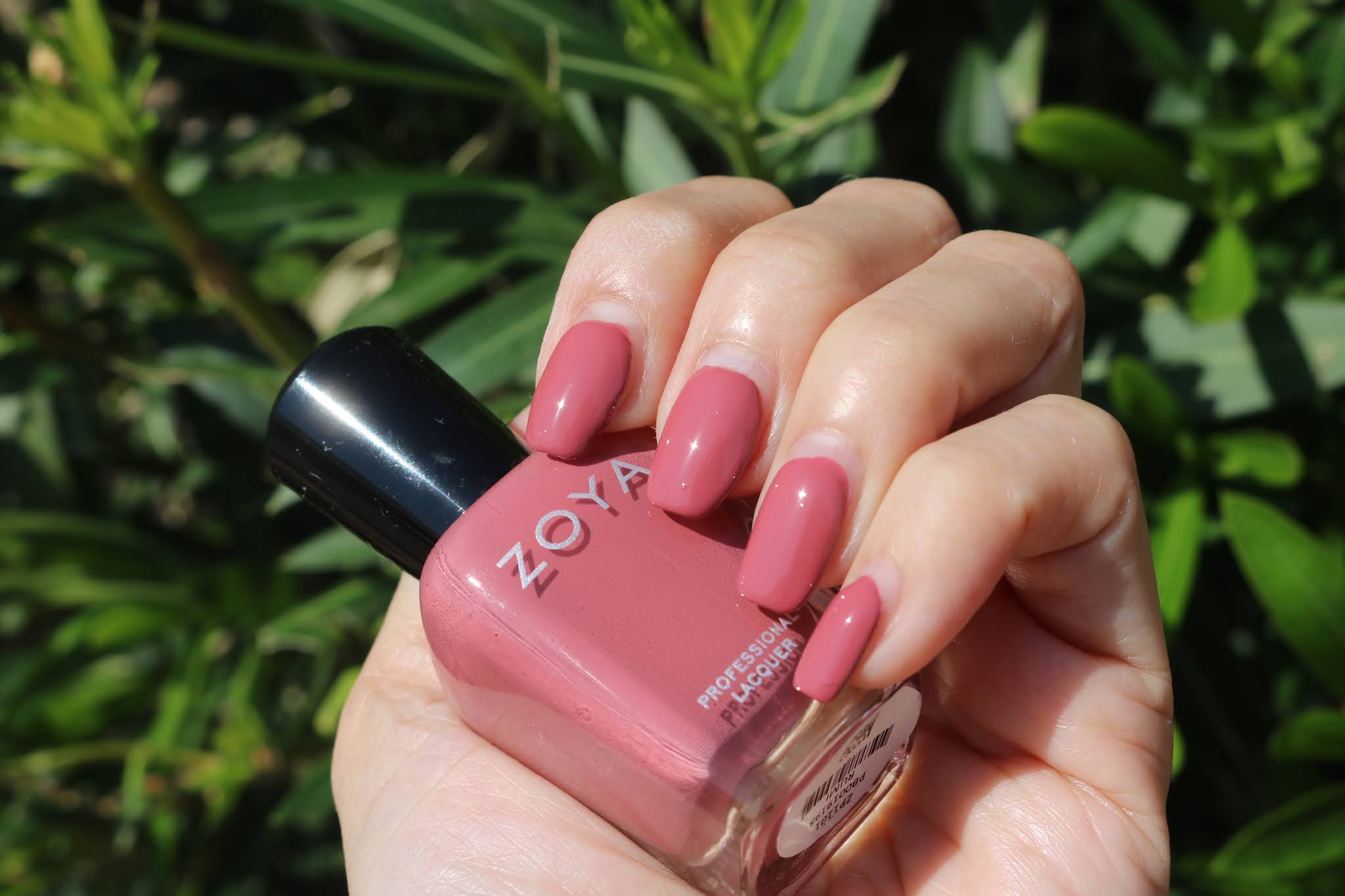 Zoya Rumi Zoya Rumi