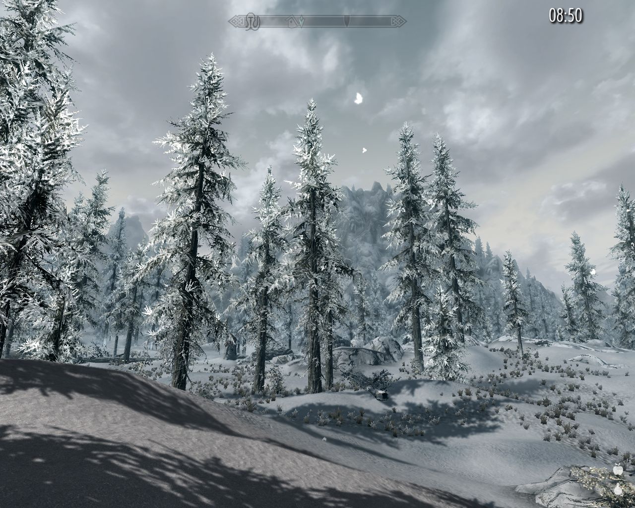 snowy spruce forest ahead, shadows of the trees on the ground, high mountain in the distance