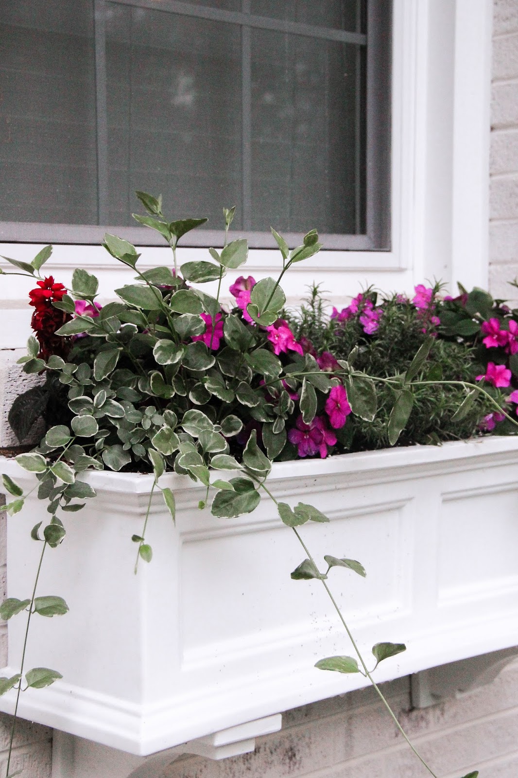 The Best Plants For A Full Flower Box Home On Oak